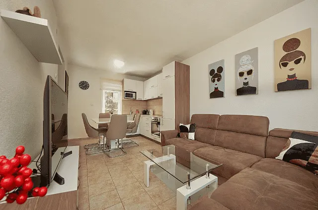 House, 1 room, 55 m² with a 610 m² plot in Kostanjica